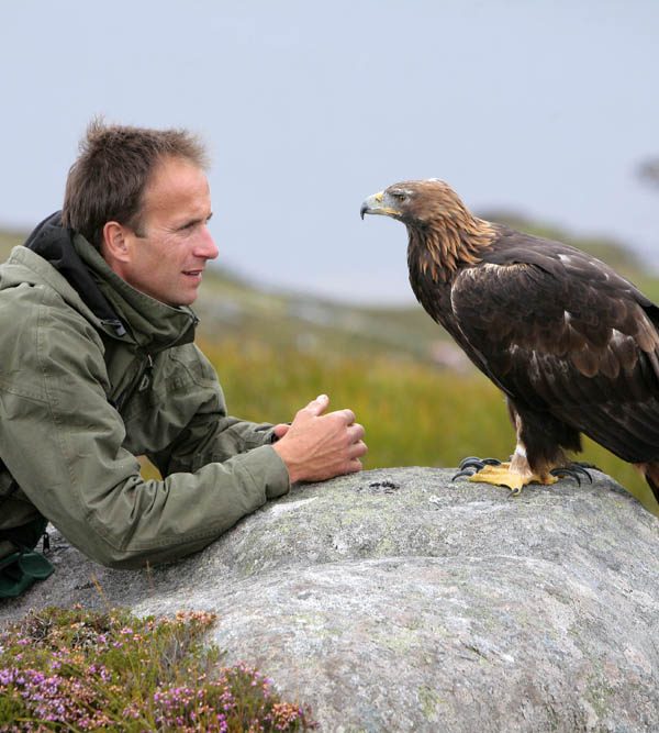 Lloyd And Rose Buck Bird Of Prey Experience Super Powered Owls Hawk Conservancy Trust