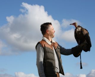 Hawk-Conservancy: Win one-on-one experience at the Trust