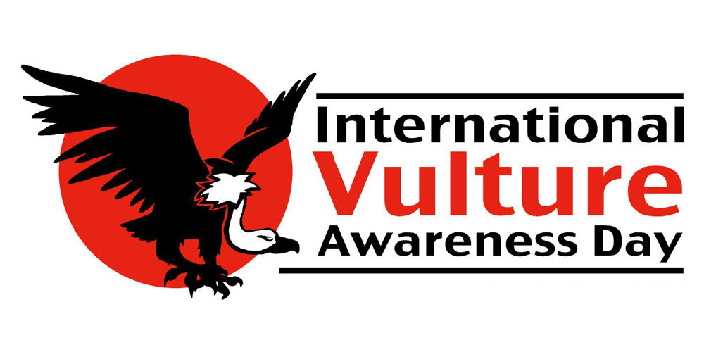 International Vulture Awareness Day vulture conservation and