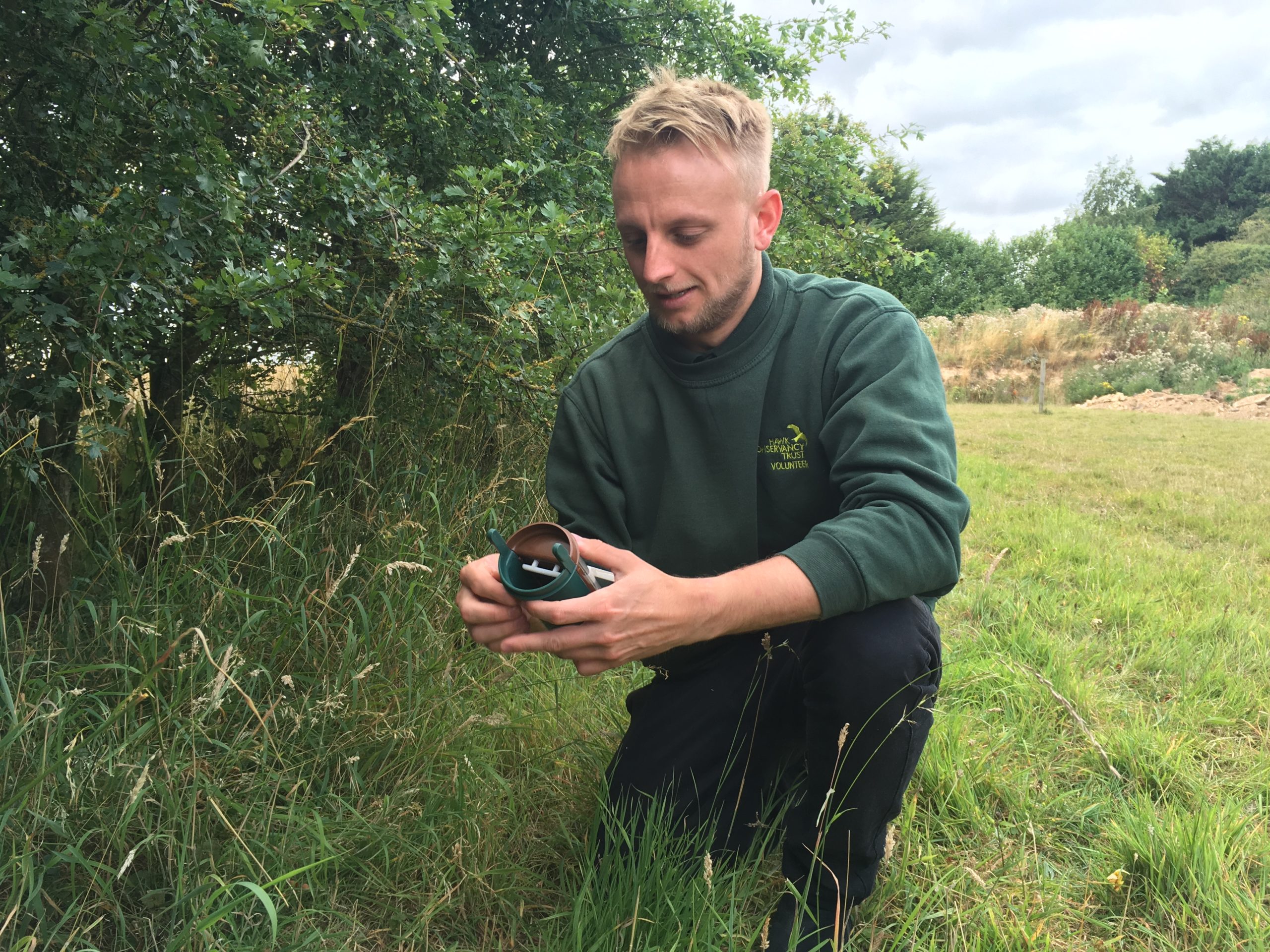 Summer Research Internship - Hawk Conservancy Trust - Hawk Conservancy ...